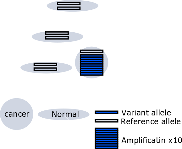 Allele Frequency